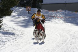 San Bernardino 2008